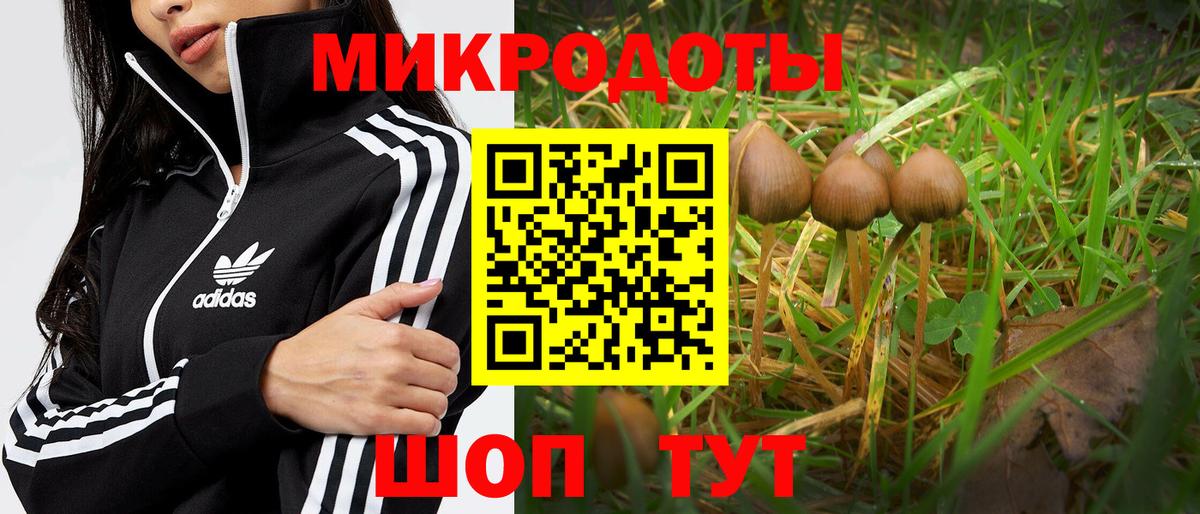 Топки  Псилоцибиновые грибы ЛСД  Вход с VPN  Галлюциногенные грибы Psilocybine cubensis 
