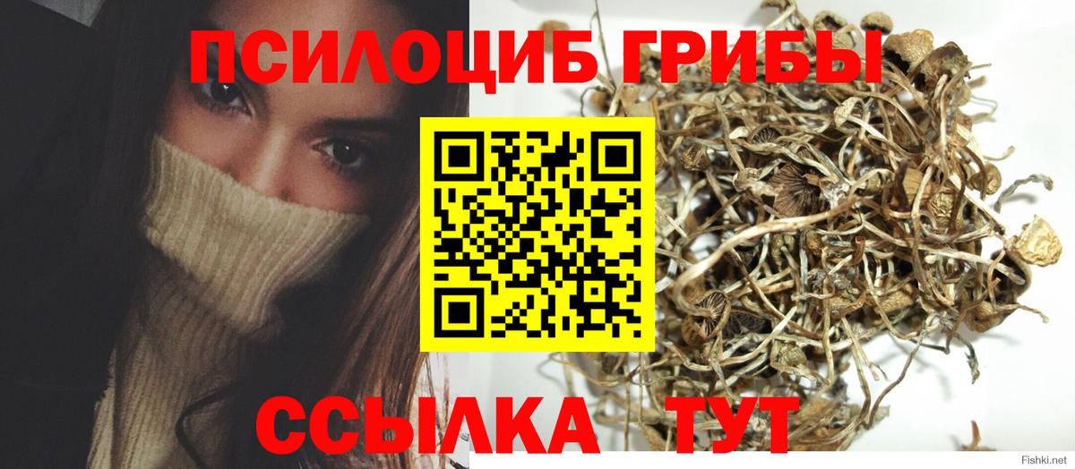 Галлюциногенные грибы ЛСД Топки